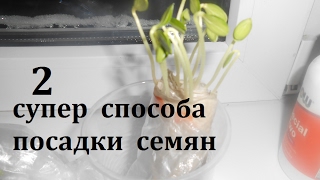 Посадка семян. 2 супер способа.