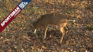 Mike Stroff Talks What to Do When You Have Limited Hunting Time