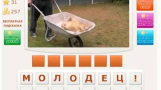 Телепат Oтветы на 29- 32 уровень игры Телепат BKонтакте
