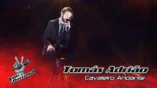 Tomás Adrião - "Cavaleiro andante" (Rui Veloso) | Final | The Voice Portugal