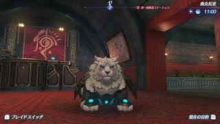 【ゼノブレイド2】ニア　ビャッコ【待機モーション集】
