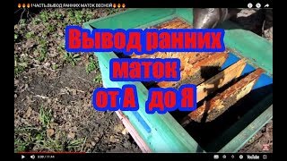 ???1ЧАСТЬ.ВЫВОД РАННИХ МАТОК ВЕСНОЙ???