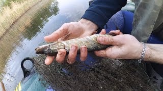 РЫБАЧИМ НА СЕТИ ВЕСНОЙ (щука, карась, окунь)
