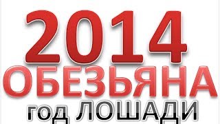 обезьяна   гороскоп 2014 год Лошади   китайский гороскоп.  Рождены в год обезьяна  на 2014 год