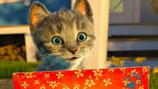 Сборник мультиков про котят ВСЕ СЕРИИ ПОДРЯД котик БУБУ три кота и маленький котенок #УШАСТИК КИДС
