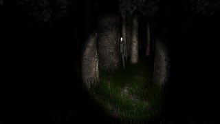 Slender Gameplay HD