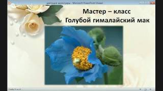 Мастер-класс по фоамирану "Гималайский мак"