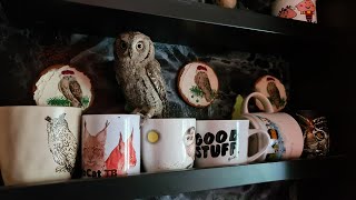 Yoll's stream с плюшками! Тикающие совы!