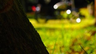 2012年10月　 秋のソロキャンプ