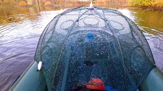 Как БЫСТРО Наловить ЖИВЦА! Ловля на Ловушки-Зонтики!!!