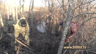 Охота на бобра. Охота с Михаилом Топорковым.