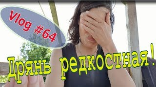 Курам опять досталось.  Работаем.  Развлекаемся. // Юлия Артуровна влог