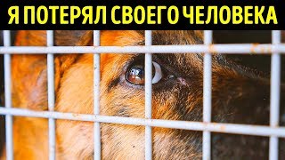 Я потерял своего человека, но не утратил веру в человечество