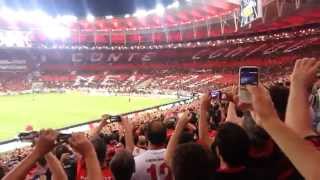 Mosaico - Final Copa do Brasil 2013 - Flamengo x Atlético-PR