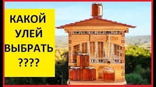 ДАДАН ИЛИ РУТ? КАКОЙ УЛЕЙ ВЫБРАТЬ ПЧЕЛОВОДСТВО для начинающих