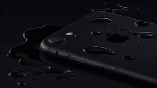 iphone 7 - Не работает камера и фонарик.
