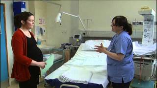 Daisy Hill Hospital Maternity Tour