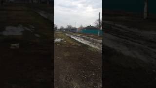 IMG 4846