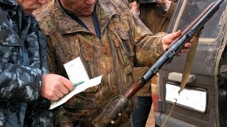 Нужно вводить экзамены для охотников