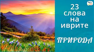 23 слова на иврите | ПРИРОДА иврит | Изучение иврита