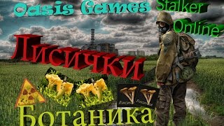 Stalker Online Лисички