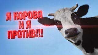 ВИДЕО ЖЕСТЬ ► Корова против поезда!