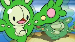Pokemon Black & White Wi-Fi Battle: shofu vs LiLxJuaNCho