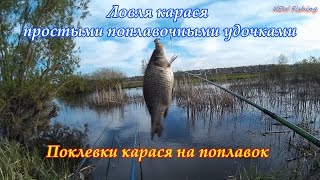 Ловля карася простыми поплавочными удочками. Поклевки карася на поплавок.