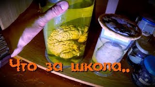 Что за место? КОГО ТУТ УЧИЛИ? Заброшенная школа - Покинутый Мир