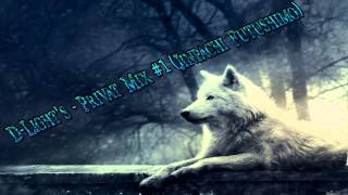 D-Light's - Privat Mix #1 (Jinpachi Futushimo)