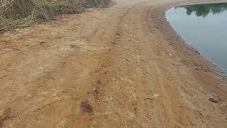 Запорожье ШОКИРУЮЩИЕ ПОСЛЕДСТВИЯ ПОСЛЕ ВЗРЫВА НА КАХОВСКОЙ ГЕС 08.06.2023