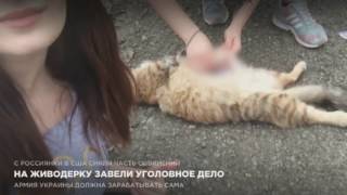 Живодерки из Хабаровска