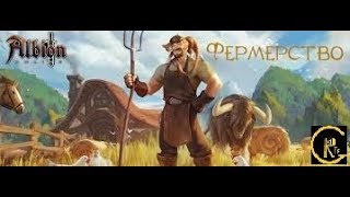 Albion Online обзор строительство фермы часть 1