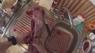 как разделать зайца, потрошение зайца, как снять шкуру с зайца. How to Skin and Clean a Rabbit