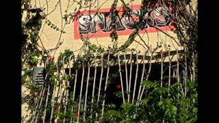 El Caballo Blanco and the Anzol Paint Factory - Abandoned Places - Sydney, NSW -April 21, 2014