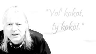 Vasky a koho máme voliť ?