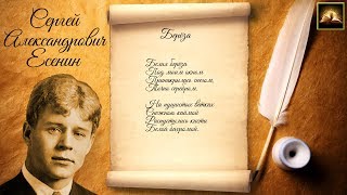 Стихотворение С.А. Есенин "Берёза" (Стихи Русских Поэтов) Аудио Стихи Слушать Онлайн