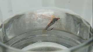 Fly in water . Тест Мушки в воде на плавучесть .