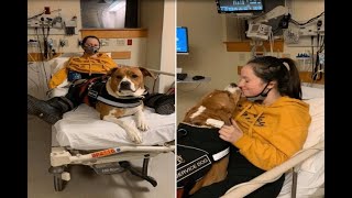 Martina, la sua storia: un forte odore potrebbe ucciderla: il cane le salva la vita