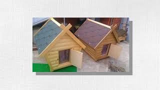 Рекламный ролик на сайт www.budkahome.ru - всё для Ваших питомцев