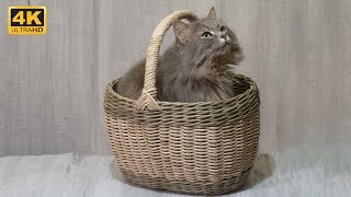 Ручка для корзины.