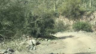Mn guys and gals riding around the Arizona desert and mountains with Canadian’s