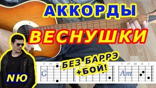ВЕСНУШКИ Аккорды ? NЮ Юрий Николаенко ♪ Разбор песни на гитаре ♫ Бой Текст