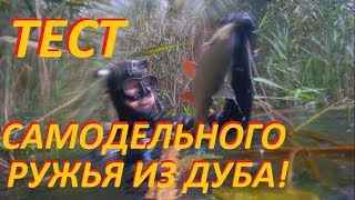 ПОДВОДНАЯ ОХОТА с самодельным арбалетом из дуба от Геннадьевича