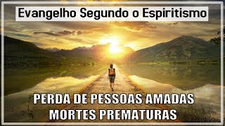 Mortes Prematuras | Evangelho Segundo o Espiritismo Cap. 5 Part. 21 | Instruções dos Espíritos