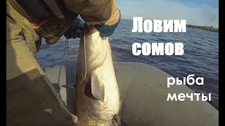 Ловля сома на перемет день 1-й (средняя Волга открытие сезона)