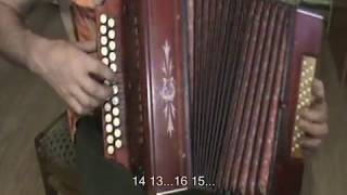 Листья жёлтые с нотами в цифрах