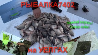 Карась зимой на Уелгах!