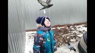 Вам что больше какать негде Ребенок Моет машину Птички накакали