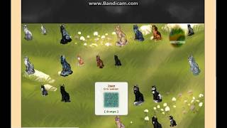 ОПРОС В КЭТВАРЕ. ЧТО ЖЕ ЛУЧШЕ: ОДИНОЧКИ ИЛИ ПЛЕМЕНА? [CatWar]